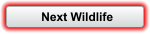 Next Wildlife