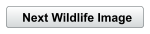 Next Wildlife Image